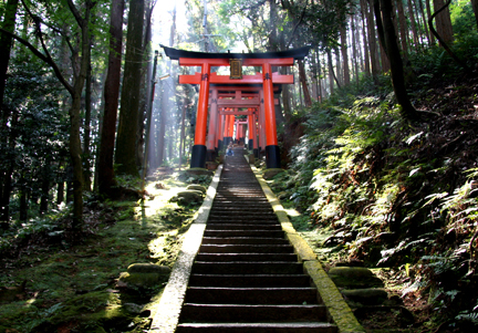 Torrie Gate in Fushimi